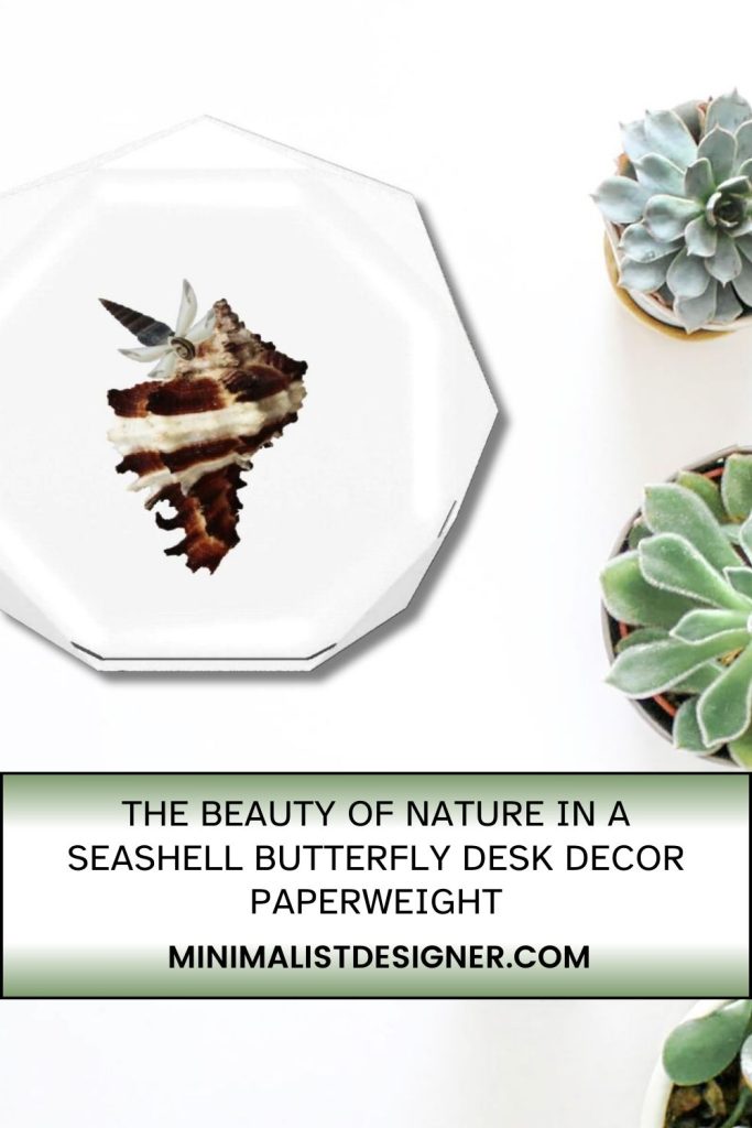 The Beauty of Nature in a Seashell Butterfly Desk Decor Paperweight, reception desk decor, dream apartment decor, conference room table decor, winter landscape paperweight, toddler room decor