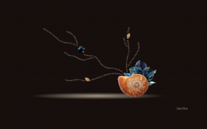 "Sacrifice" by Anca Ioviţă from Volume II of the "Diamond Dust (Poems From the Black Sea)" book series