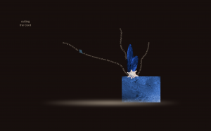 "cutting the Cord" by Anca Ioviţă from Volume V of the "Diamond Dust (Poems From the Black Sea)" book series