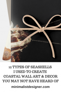 12 types of seashells I used to create coastal wall art & decor you may not have heard of