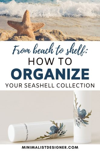 From beach to shelf: how to organize your seashell collection, sea life, shelling, shell collecting, shell crafts, sea shells, seashell art, seashell projects, what to do with sea shells, marine biology aesthetic, seashells aesthetic, organize collection, organizer ideas, collection organizing, small home organization ideas, minimalism, minimalist interior, seashell display ideas, collection display, seashell collector, keepsake box, gift box, wooden box, memory box, lip balm, microshells, mason jar, water bottle, marine Ikebana, seashell label organization notepad, minimalist coastal home decor